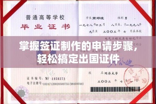 莎车掌握签证制作的申请步骤，轻松搞定出国证件